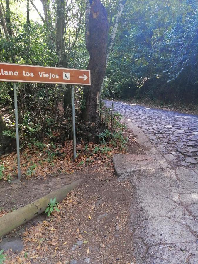 Anaga Y La Laguna A Tus Pies Santa Cruz de Tenerife Zewnętrze zdjęcie
